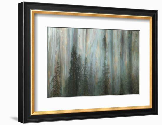 Forest II-Kathy Mahan-Framed Photographic Print