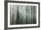 Forest II-Kathy Mahan-Framed Photographic Print