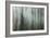 Forest II-Kathy Mahan-Framed Photographic Print