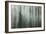 Forest II-Kathy Mahan-Framed Photographic Print