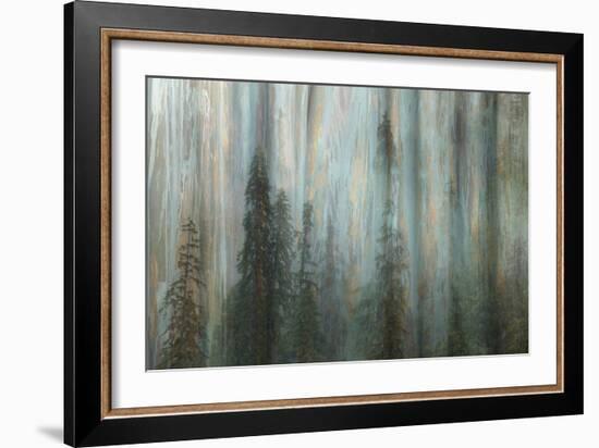 Forest II-Kathy Mahan-Framed Photographic Print