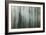 Forest II-Kathy Mahan-Framed Photographic Print