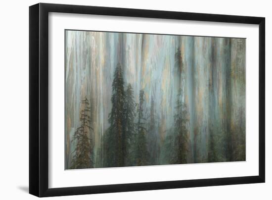 Forest II-Kathy Mahan-Framed Photographic Print