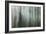 Forest II-Kathy Mahan-Framed Photographic Print