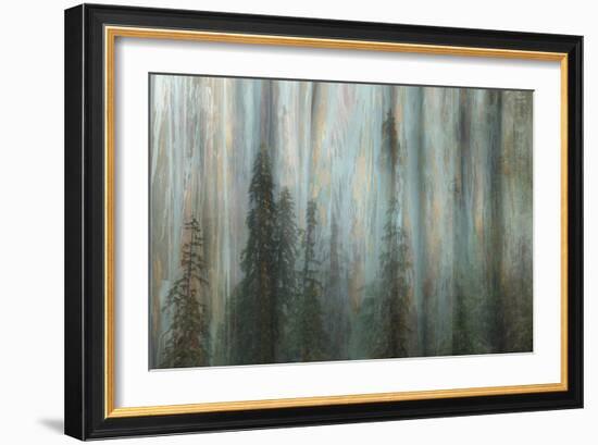 Forest II-Kathy Mahan-Framed Photographic Print