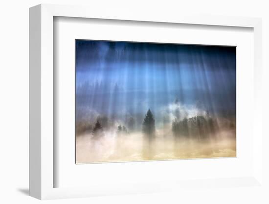 Forest Illumination-Marcin Sobas-Framed Photographic Print