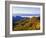 Forest in Autumn Color from Shot Beech Ridge, Great Smoky Mountains National Park, North Carolina-Dennis Flaherty-Framed Photographic Print