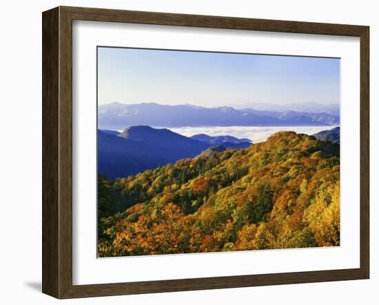 Forest in Autumn Color from Shot Beech Ridge, Great Smoky Mountains National Park, North Carolina-Dennis Flaherty-Framed Photographic Print