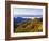 Forest in Autumn Color from Shot Beech Ridge, Great Smoky Mountains National Park, North Carolina-Dennis Flaherty-Framed Photographic Print