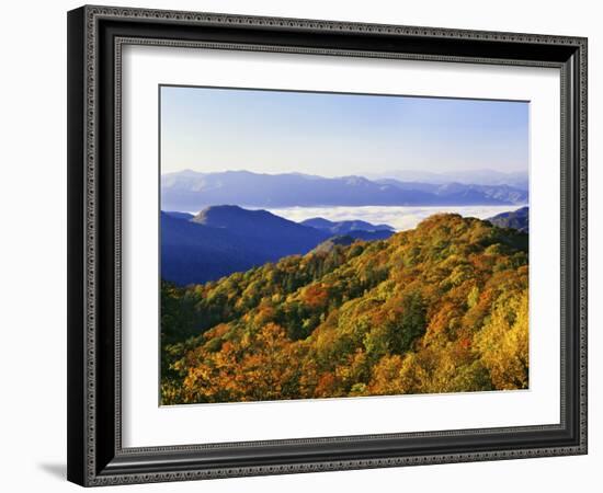 Forest in Autumn Color from Shot Beech Ridge, Great Smoky Mountains National Park, North Carolina-Dennis Flaherty-Framed Photographic Print