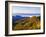 Forest in Autumn Color from Shot Beech Ridge, Great Smoky Mountains National Park, North Carolina-Dennis Flaherty-Framed Photographic Print