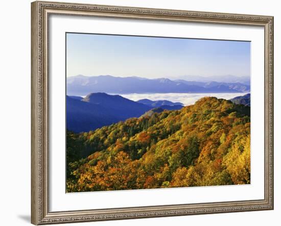 Forest in Autumn Color from Shot Beech Ridge, Great Smoky Mountains National Park, North Carolina-Dennis Flaherty-Framed Photographic Print