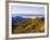 Forest in Autumn Color from Shot Beech Ridge, Great Smoky Mountains National Park, North Carolina-Dennis Flaherty-Framed Photographic Print