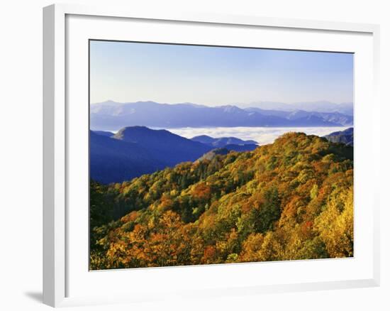 Forest in Autumn Color from Shot Beech Ridge, Great Smoky Mountains National Park, North Carolina-Dennis Flaherty-Framed Photographic Print