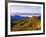 Forest in Autumn Color from Shot Beech Ridge, Great Smoky Mountains National Park, North Carolina-Dennis Flaherty-Framed Photographic Print