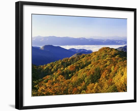 Forest in Autumn Color from Shot Beech Ridge, Great Smoky Mountains National Park, North Carolina-Dennis Flaherty-Framed Photographic Print