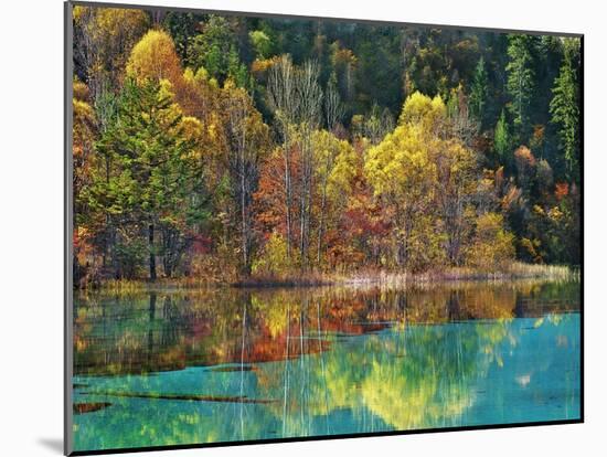 Forest in autumn colours, Sichuan, China-Frank Krahmer-Mounted Art Print