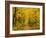 Forest in Autumn, Schoenbuch, Baden-Wurttemberg, Germany, Europe-Jochen Schlenker-Framed Photographic Print