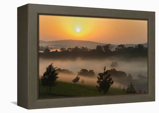 Forest in morning mist, Kibale National Park, Uganda-Keren Su-Framed Premier Image Canvas