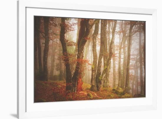 Forest in Mystical Light-Philippe Sainte-Laudy-Framed Photographic Print