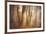 Forest in Mystical Light-Philippe Sainte-Laudy-Framed Photographic Print