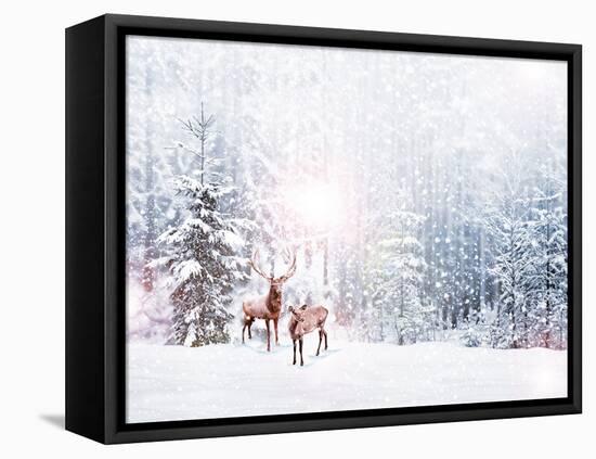 Forest in the Frost. Winter Landscape. Snow Covered Trees. Deer-Shutova Elena-Framed Premier Image Canvas