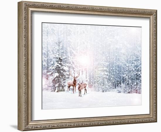 Forest in the Frost. Winter Landscape. Snow Covered Trees. Deer-Shutova Elena-Framed Photographic Print