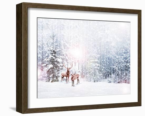 Forest in the Frost. Winter Landscape. Snow Covered Trees. Deer-Shutova Elena-Framed Photographic Print