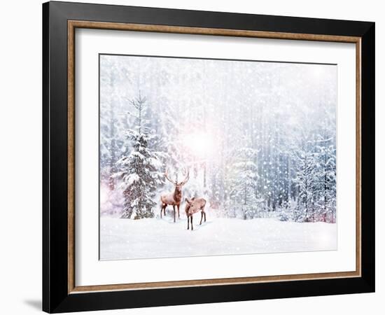 Forest in the Frost. Winter Landscape. Snow Covered Trees. Deer-Shutova Elena-Framed Photographic Print