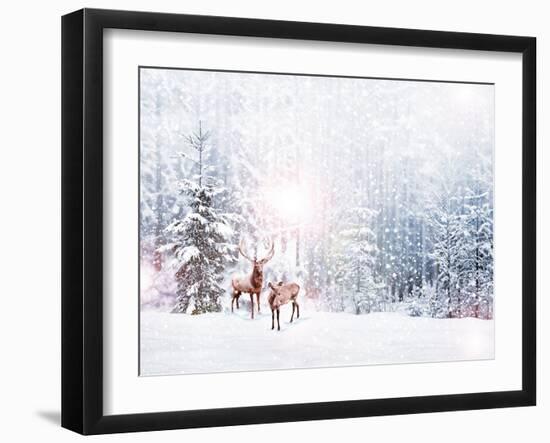 Forest in the Frost. Winter Landscape. Snow Covered Trees. Deer-Shutova Elena-Framed Photographic Print