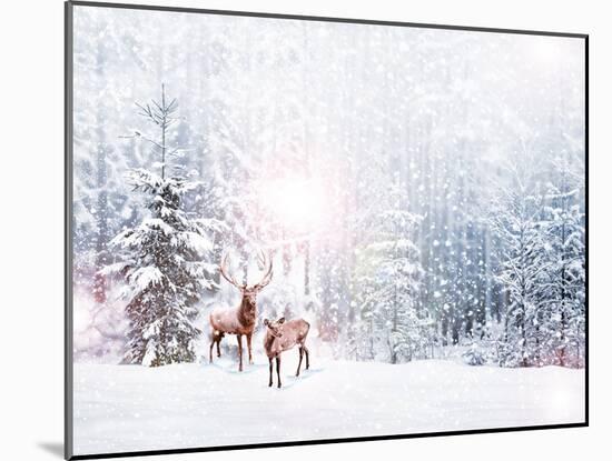 Forest in the Frost. Winter Landscape. Snow Covered Trees. Deer-Shutova Elena-Mounted Photographic Print