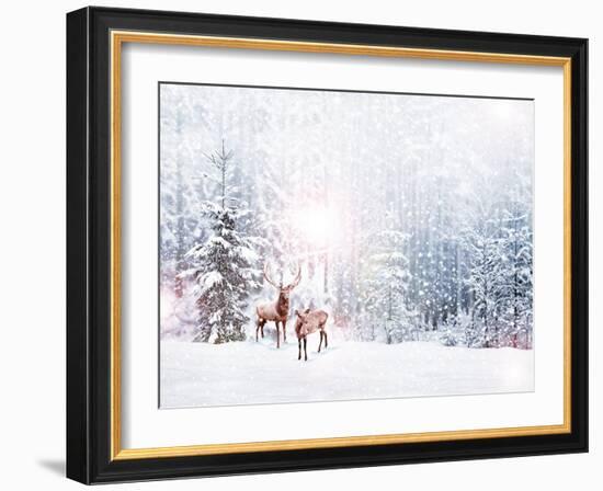 Forest in the Frost. Winter Landscape. Snow Covered Trees. Deer-Shutova Elena-Framed Photographic Print