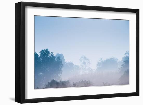 Forest in the Morning Mist-Pongphan Ruengchai-Framed Photographic Print