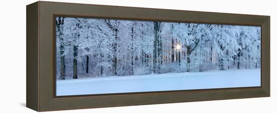 Forest in Winter at Sunrise, Swabian Alb, Baden-Wurttemberg, Germany-null-Framed Premier Image Canvas