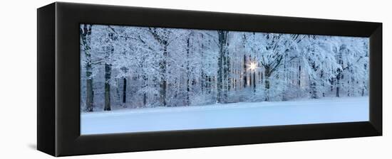 Forest in Winter at Sunrise, Swabian Alb, Baden-Wurttemberg, Germany-null-Framed Premier Image Canvas