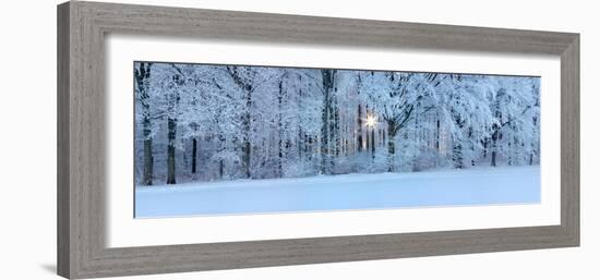 Forest in Winter at Sunrise, Swabian Alb, Baden-Wurttemberg, Germany-null-Framed Photographic Print