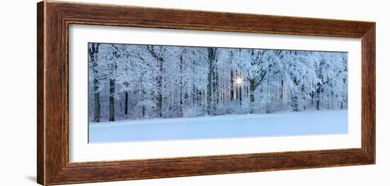 Forest in Winter at Sunrise, Swabian Alb, Baden-Wurttemberg, Germany-null-Framed Photographic Print