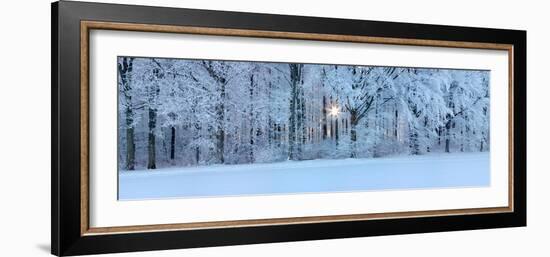 Forest in Winter at Sunrise, Swabian Alb, Baden-Wurttemberg, Germany-null-Framed Photographic Print