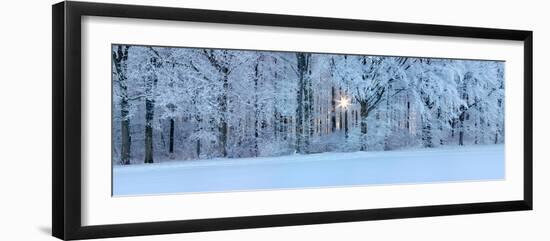 Forest in Winter at Sunrise, Swabian Alb, Baden-Wurttemberg, Germany-null-Framed Photographic Print