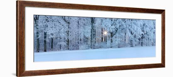 Forest in Winter at Sunrise, Swabian Alb, Baden-Wurttemberg, Germany-null-Framed Photographic Print