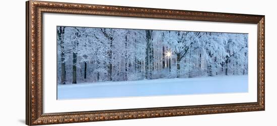 Forest in Winter at Sunrise, Swabian Alb, Baden-Wurttemberg, Germany-null-Framed Photographic Print