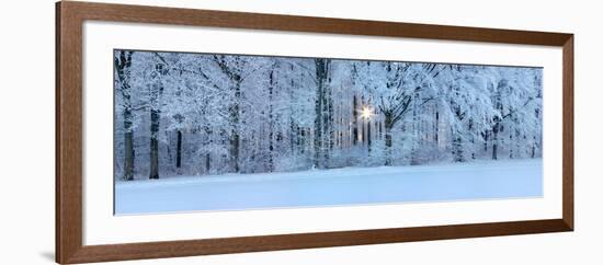 Forest in Winter at Sunrise, Swabian Alb, Baden-Wurttemberg, Germany-null-Framed Photographic Print