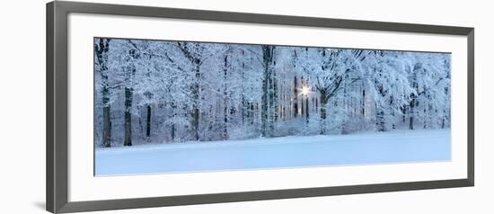 Forest in Winter at Sunrise, Swabian Alb, Baden-Wurttemberg, Germany-null-Framed Photographic Print