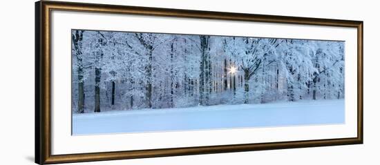 Forest in Winter at Sunrise, Swabian Alb, Baden-Wurttemberg, Germany-null-Framed Photographic Print