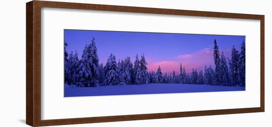 Forest in Winter, Dalarna, Sweden-null-Framed Photographic Print