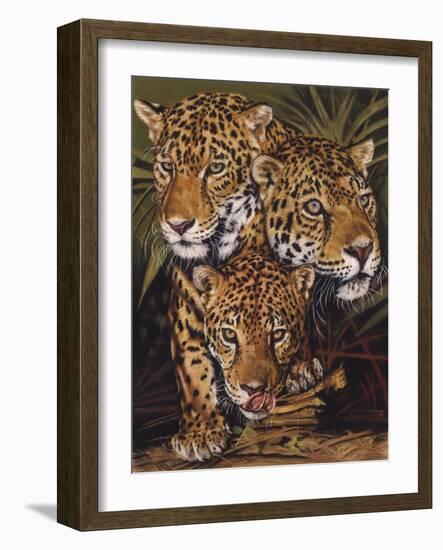 Forest Jewels-Barbara Keith-Framed Giclee Print