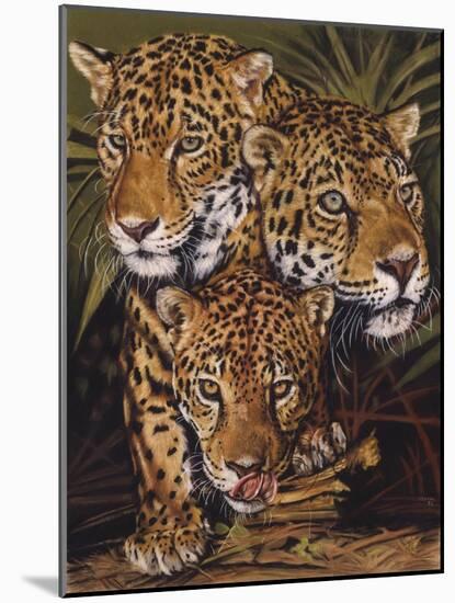 Forest Jewels-Barbara Keith-Mounted Giclee Print