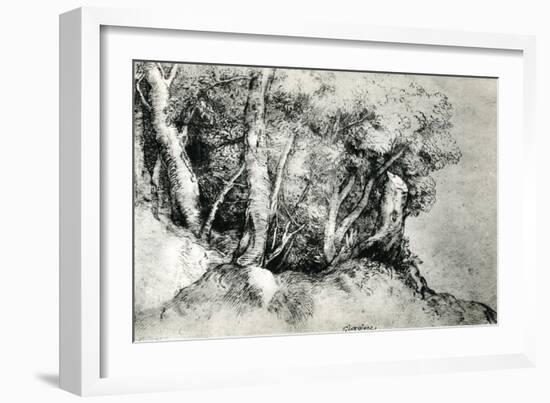 Forest Landscape, C1516-1518-Titian (Tiziano Vecelli)-Framed Giclee Print