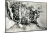 Forest Landscape, C1516-1518-Titian (Tiziano Vecelli)-Mounted Giclee Print