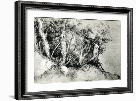 Forest Landscape, C1516-1518-Titian (Tiziano Vecelli)-Framed Giclee Print